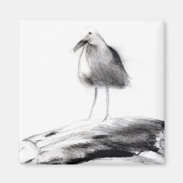 California Seagull 2012 Magnet (Front)