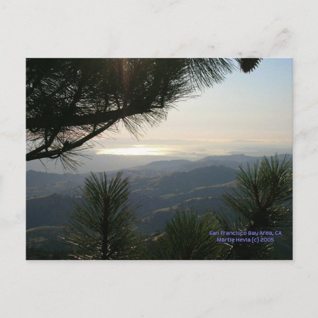 California Seasons - SF Bay Area - Postcard (Front)