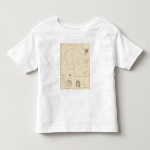 California Seismograms 3 Toddler T-Shirt