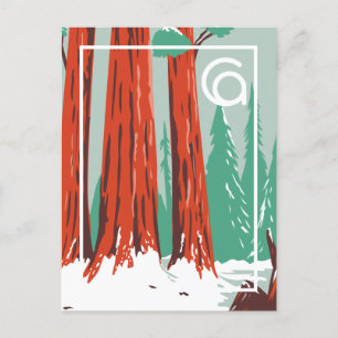 California   Sequoia National Park Winter Postcard