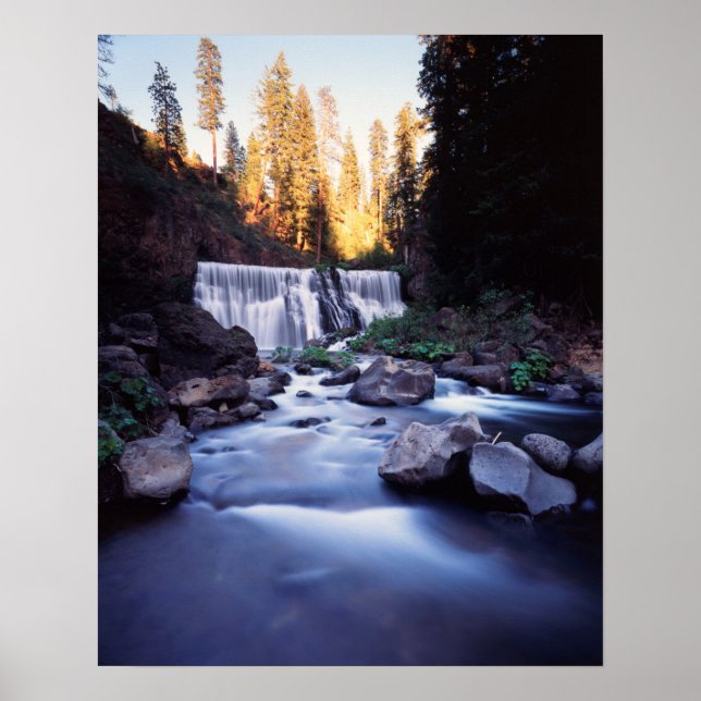 California, Shasta-Trinity National Forest Poster (Front)