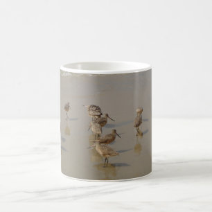 California Shore Birds Coffee Mug