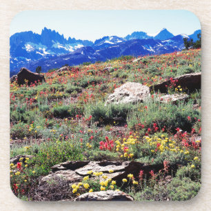 California, Sierra Nevada Mountains 1 Coaster