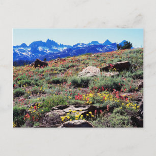 California, Sierra Nevada Mountains 1 Postcard