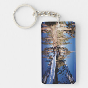 California, Sierra Nevada Mountains 2 Key Ring