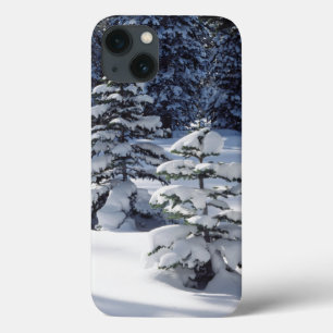 California, Sierra Nevada Mountains 8 iPhone 13 Case