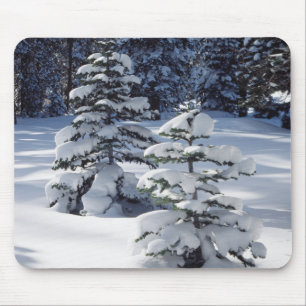 California, Sierra Nevada Mountains 8 Mouse Mat