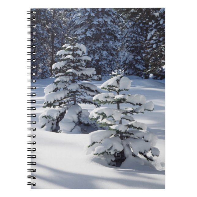 California, Sierra Nevada Mountains 8 Notebook (Front)