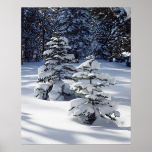 California, Sierra Nevada Mountains 8 Poster