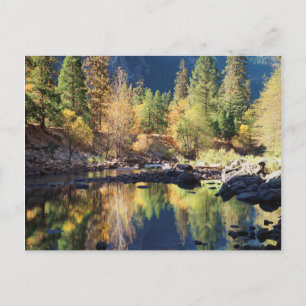 California, Sierra Nevada Mountains, Yosemite 4 Postcard