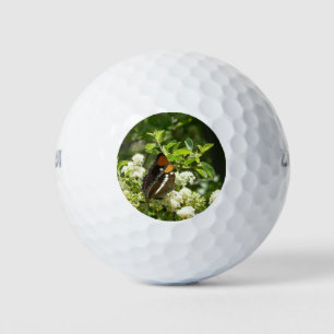 California Sister Butterfly in Yosemite Golf Balls