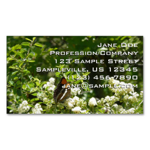California Sister Butterfly in Yosemite Magnetic Business Card
