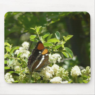 California Sister Butterfly in Yosemite Mouse Mat