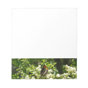 California Sister Butterfly in Yosemite Notepad