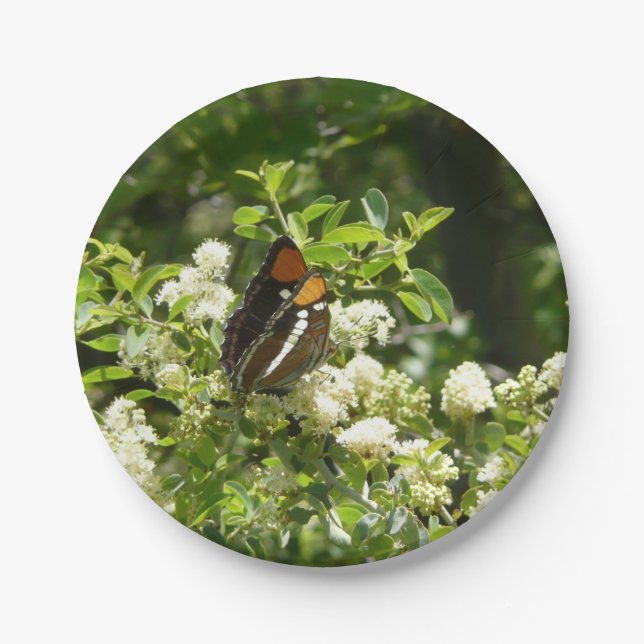 California Sister Butterfly in Yosemite Paper Plate (Front)