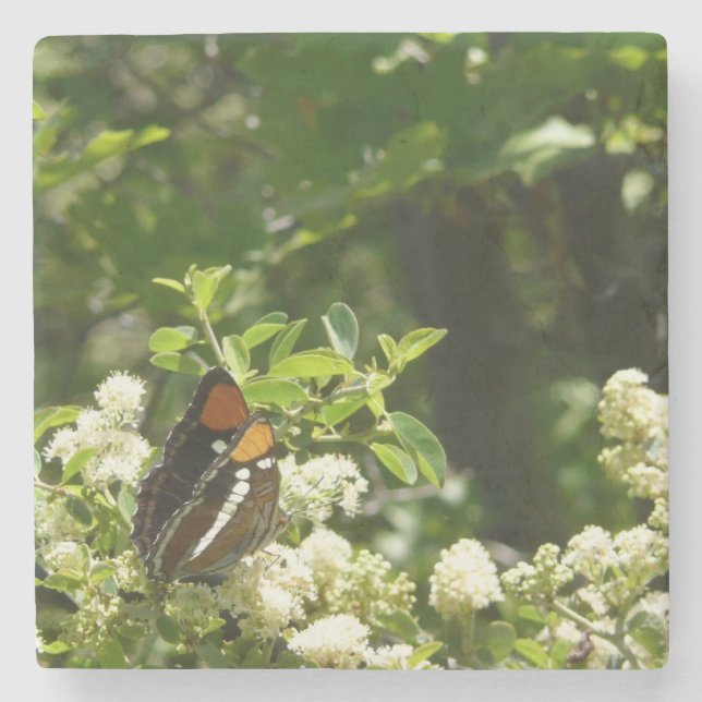 California Sister Butterfly in Yosemite Stone Coaster (Front)