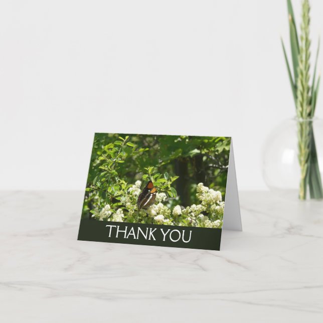 California Sister Butterfly in Yosemite Thank You Card (Front)