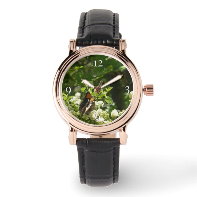 California Sister Butterfly in Yosemite Watch (Front)