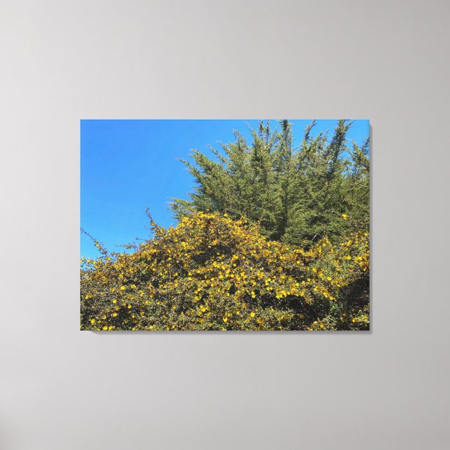 California Spring Canvas Print (Front)
