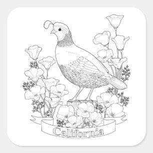 California State Bird and Flower Colouring Page Square Sticker