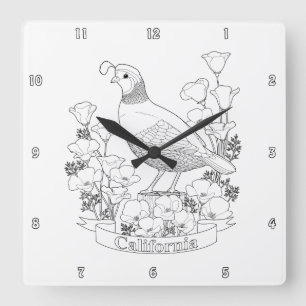 California State Bird and Flower Colouring Page Square Wall Clock