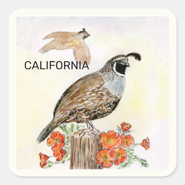 California state bird and flower square sticker (Front)