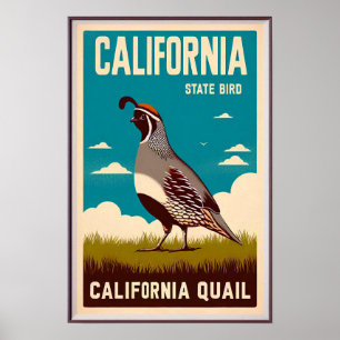 California State Bird - California Quail Vintage Poster