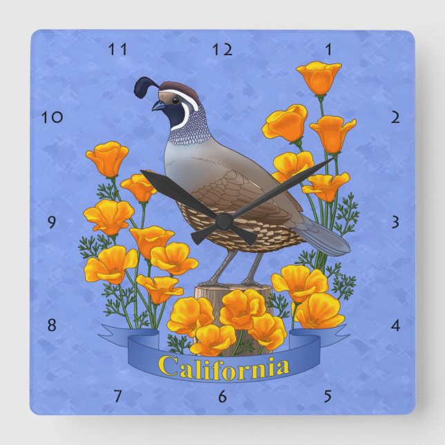 California State Bird Quail & Golden Poppy Square Wall Clock (Front)