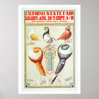 California State Fair 1909 Poster