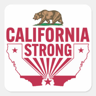 California Strong Grizzly Bear Square Sticker