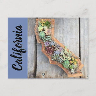California Succulent Postcard