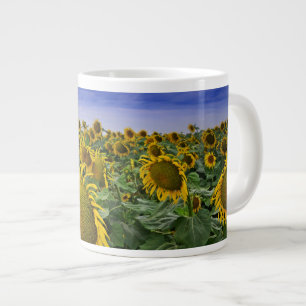 California Sunflower Fields Large Coffee Mug