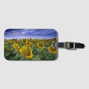 California Sunflower Fields Luggage Tag