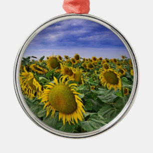 California Sunflower Fields Metal Tree Decoration