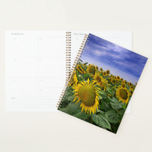 California Sunflower Fields Planner
