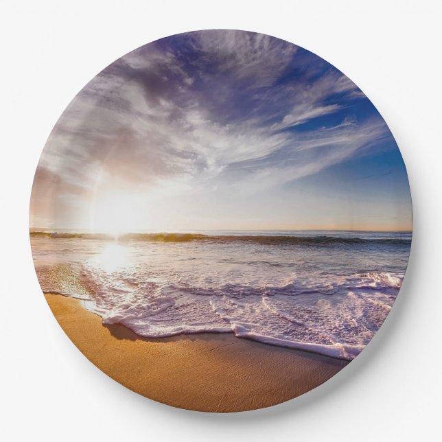 California sunset...breathtaking paper plate (Front)