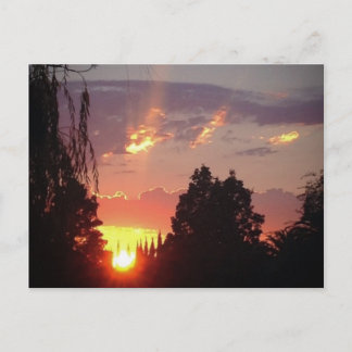 California Sunset Postcard