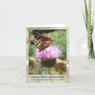 California Thistle with Painted Lady - Notecard