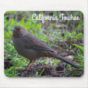 California Towhee Mouse Mat