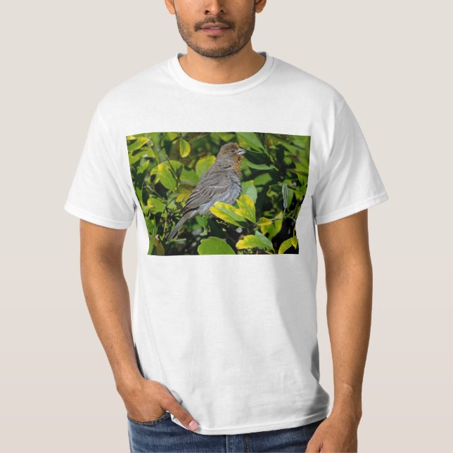 California Towhee T-Shirt (Front)
