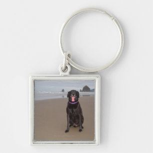 California, USA Key Ring