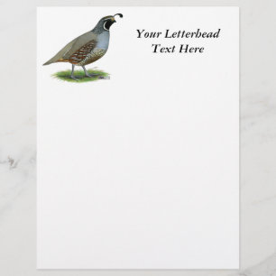 California Valley Quail