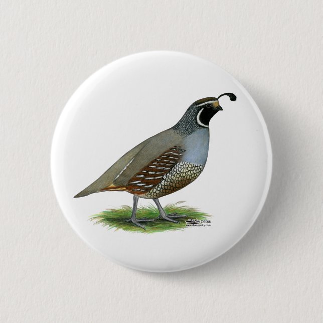 California Valley Quail 6 Cm Round Badge (Front)