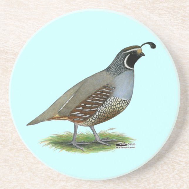 California Valley Quail Coaster (Front)