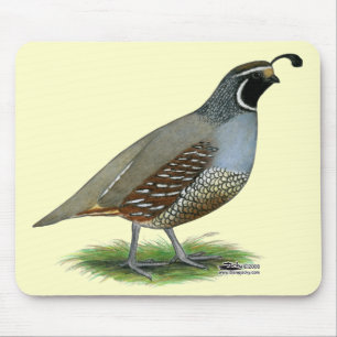 California Valley Quail Mouse Mat