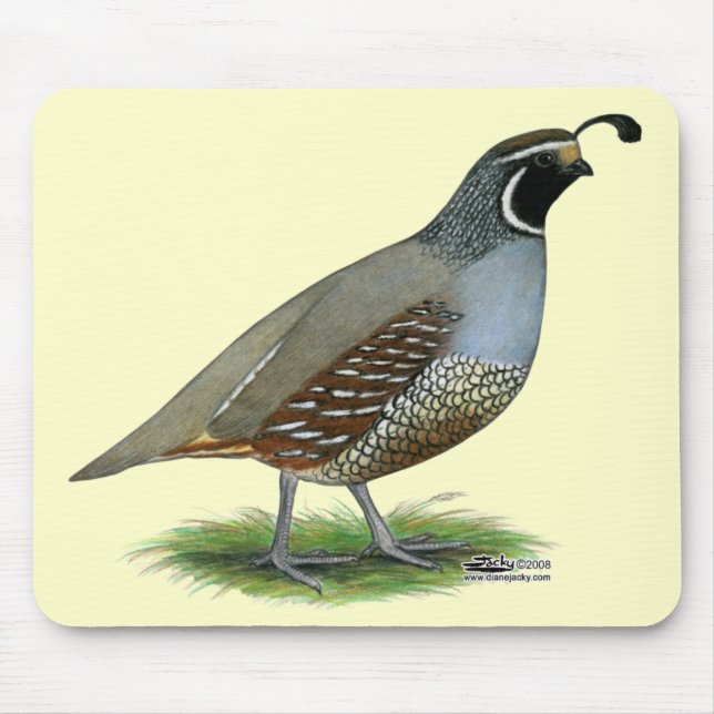 California Valley Quail Mouse Mat (Front)