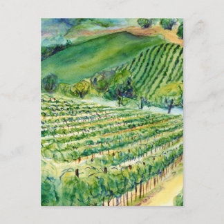 California Vineyard Postcard
