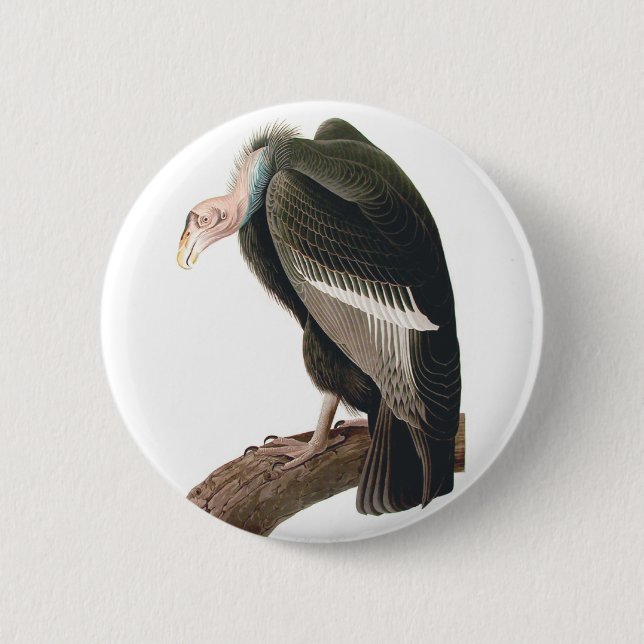 California Vulture (Condor), Audubon Fine Art 6 Cm Round Badge (Front)