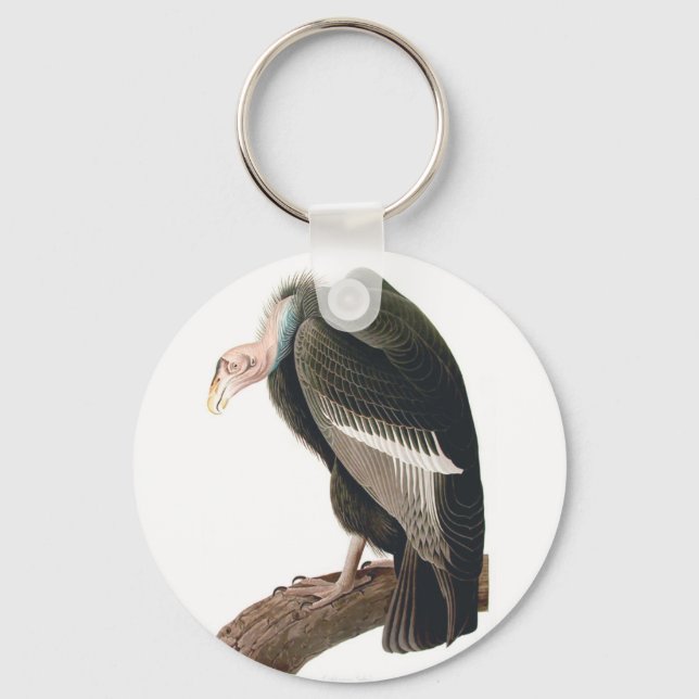 California Vulture (Condor), Audubon Fine Art Key Ring (Front)