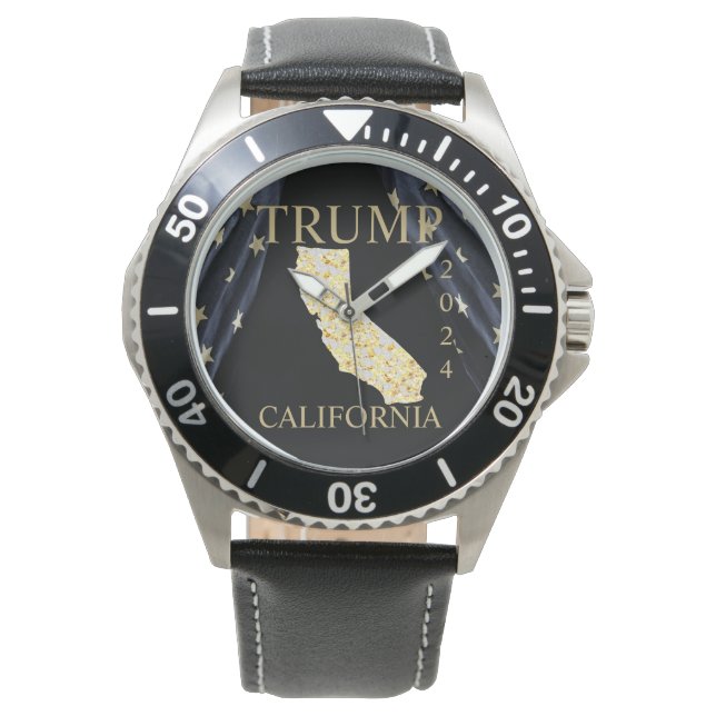 CALIFORNIA  WATCH (Front)